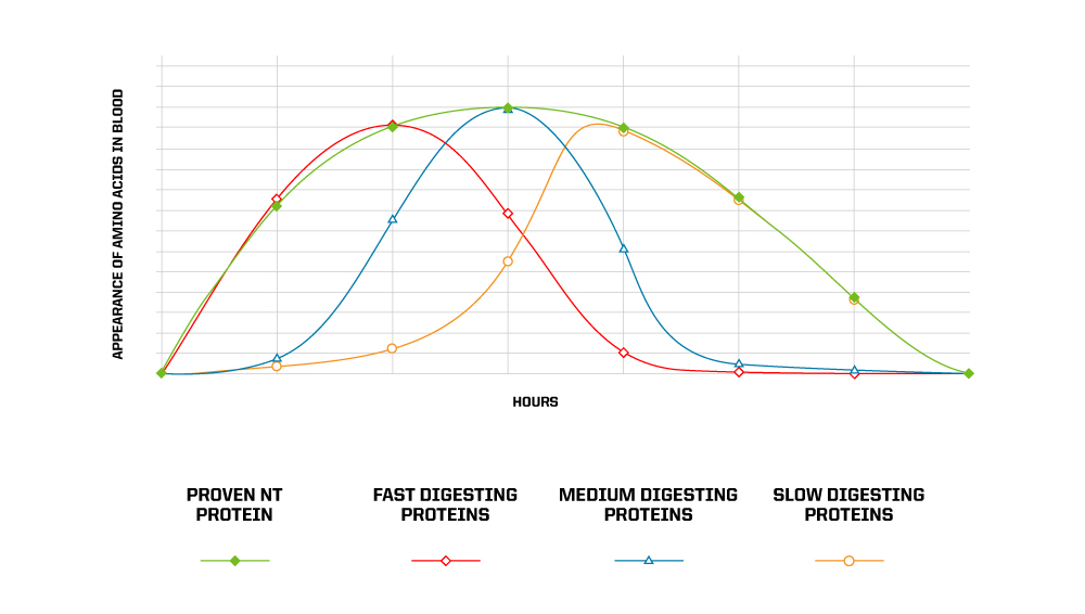 PROVEN Protein Blend Graph - Slow, Medium and Fast Digesting Proteins